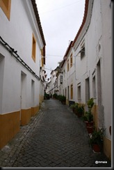 IMG_3983