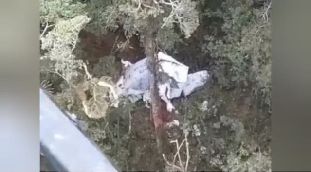 Pesawat Rimbun Air Ditemukan di Gunung Homeyo dalam Kondisi Hancur