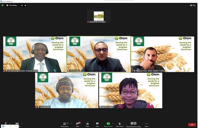 Olam announces N300m investment to set up community seed enterprises to increase wheat production in Nigeria