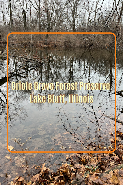Exploring Oriole Grove Forest Preserve in Lake Bluff, Illinois