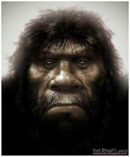 More Materials On Differentiating Bigfoot Yeti Skunk Ape Wildman And Sasquatch