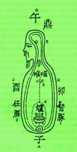 Microcosmic Orbit And Neural Linguistic Emotional Amplification