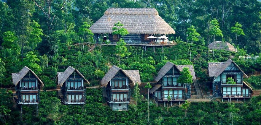  14 Crazy Hotels That Will Give You Serious Travel Goals - 98Acre Teafield Hotel in Sri Lanka is high up in the mountains, right in the middle of Sri Lanka's vast valleys of tea fields.