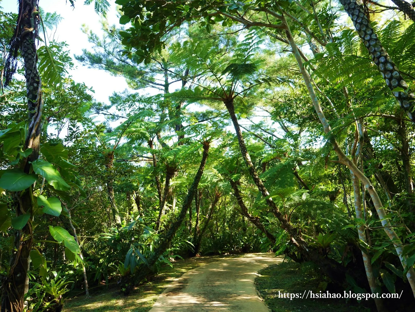 沖繩-推薦-景點-BIOS之丘-自由行-旅遊-Okinawa-ビオスの丘-bios-hill