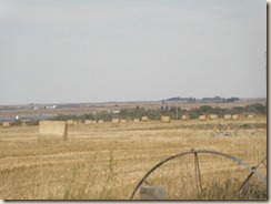 FieldsBales (2)