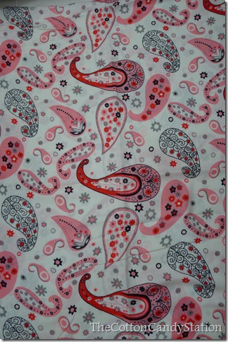 paisleypashmina (3)