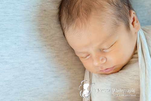 Professional portrait of a newborn baby using a round backdrop stand