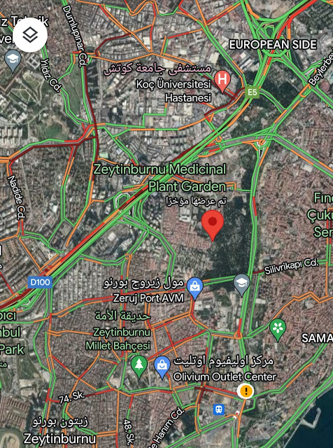 موقع حديقة نباتات زيتون بورنو الطبية في إسطنبول على خرائط غوغل