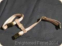 IMG_1563