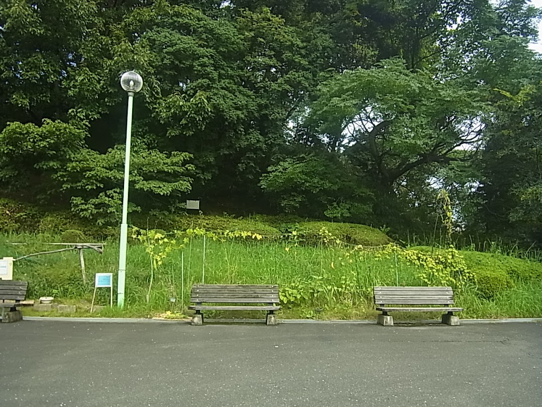 写真: 