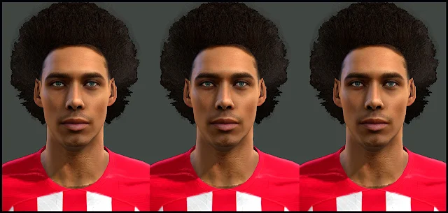 PES 2013 Axel Witsel Face