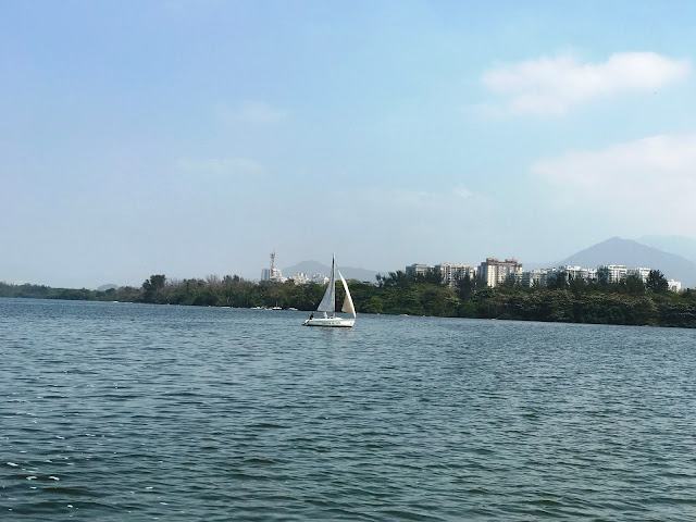 Pantanal Carioca - o paraíso escondido na Barra da Tijuca