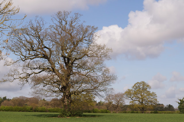 off the beaten path in Norfolk