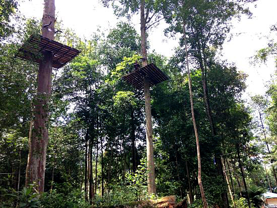 Zip Line Flying Fox Places in Malaysia - Malaysia Asia 
