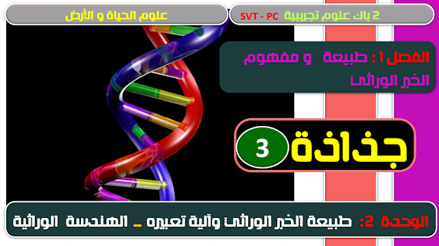 جذاذة | طبيعة و مفهوم الخبر الوراثي | 2باك | علوم الحياة و الأرض 3