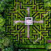 Hampton Court Maze