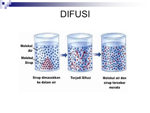 Difusi