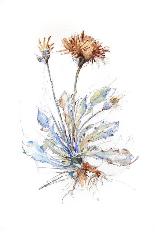 Carne Griffiths pinturas mulheres e flores com chás vodca e uisque
