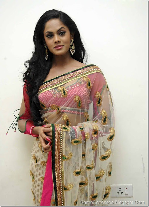 Karthika Hot Pics in Saree 8