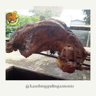 Kambing Guling Purwakarta, Supplier Kambing Guling, Supplier Kambing Guling Purwakarta, Supplier Kambing Guling Purwakarta Termurah, Supplier Kambing Guling Purwakarta Termurah 08112316188