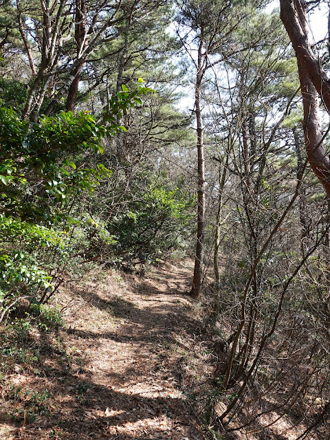 孝霊山　中腹の森の道を降りる