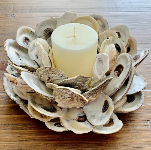 Oyster Shell Candle Holders
