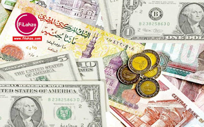 سعر الدولار اليوم الأربعاء 6 11 2019 في البنوك المصرية