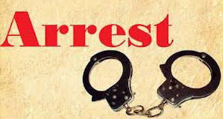 3 arrested with firearms in Jessore