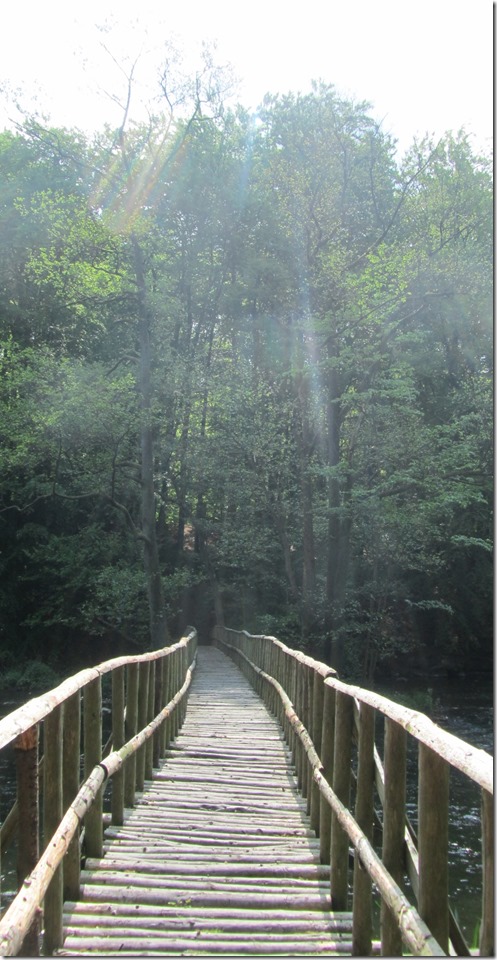 Brücke im Warnowtal