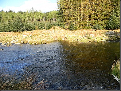 galloway forest 160412 012