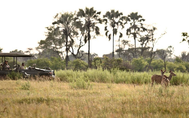 Nxabega Okavango Tented Camp Botswana