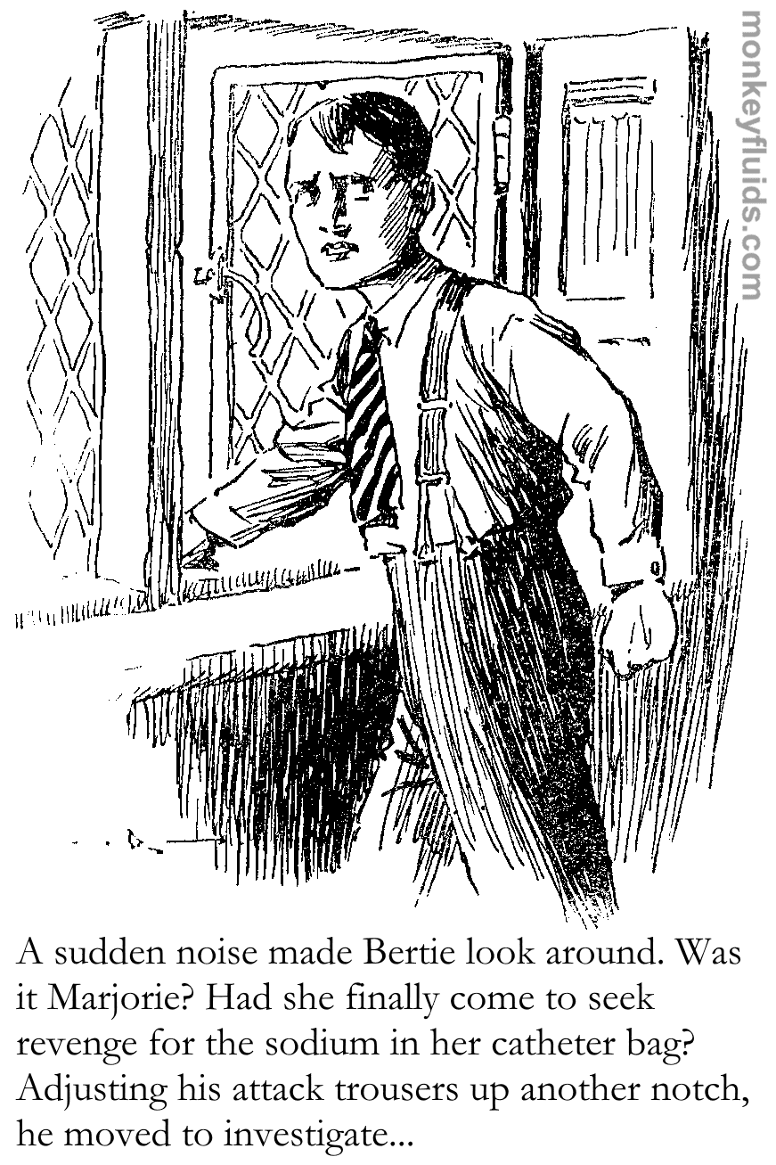 A sudden noise made Bertie look around. Was it Marjorie? Had she finally come to seek revenge for the sodium in her catheter bag? Adjusting his attack trousers up another notch, he moved to investigate...