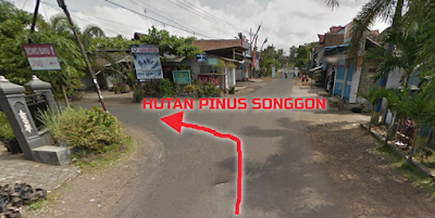 Arah ke lokasi Hutan Pinus Songgon.