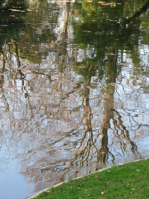 water reflections, lake