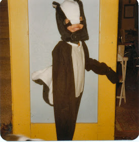 little boy in skunk costume