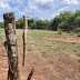 MST no Noroeste? Propriedade rural é invadida em Bom Jesus do Itabapoana 