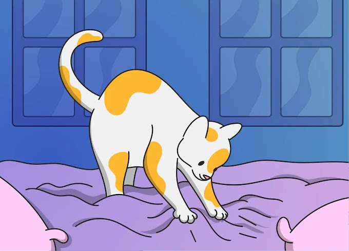 Why Do Cats Make Biscuits? Exploring the Fascinating Reasons Behind Kneading Behavior