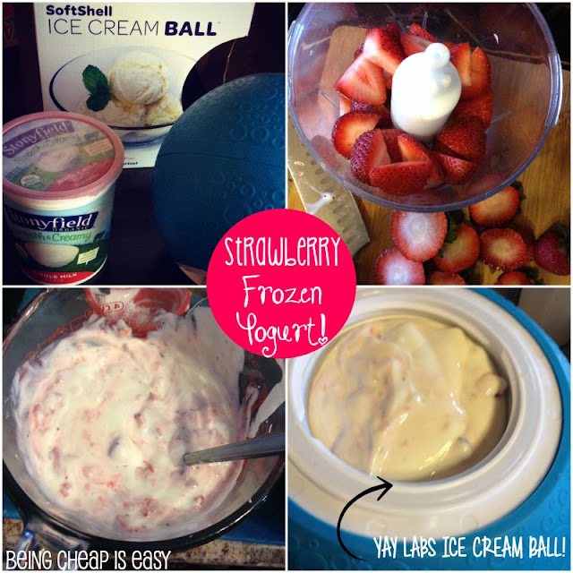 #YayLabs, DIY Ice Cream, Frozen Yogurt, Ice Cream Ball, Stonyfield Yogurt, #StonyfieldBlogger