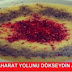 Baharat Yolunu Dökseydin AMK
