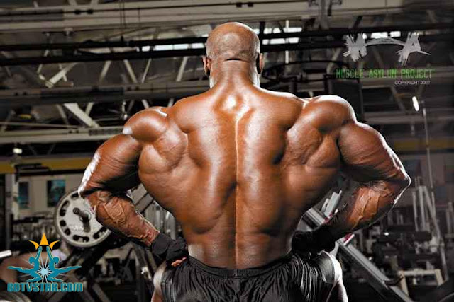 bodybuilder photos gallery