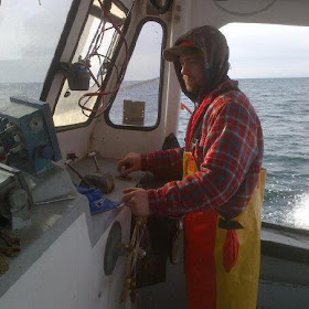 Maine lobster fisherman hauling 