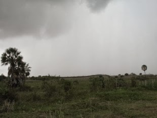 No Ceará: Novo prognóstico da Funceme prevê chuvas abaixo da média até maio