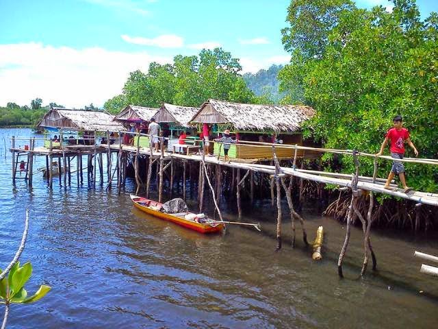 objek wisata hutan bakau mamuju 