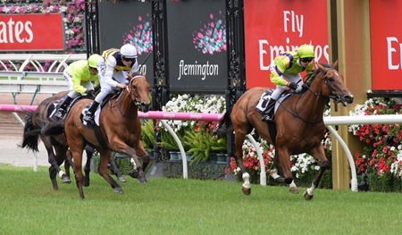 race 2_finish 2