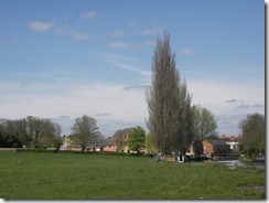 IMGP3639