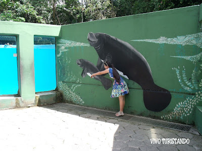 Manaus | No Bosque da Ciência tem Peixe-boi e Ariranha