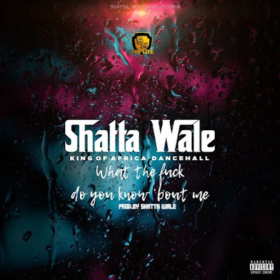 Shatta Wale - what do you know about me