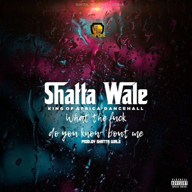 Mp3: Shatta Wale - what do you know about me