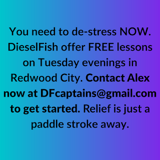 San-Jose-Redwood-City-San-Francisco-Bay-Area-Dragon-Boat-Team-DieselFish-offers-free-lessons-in-Redwood-City