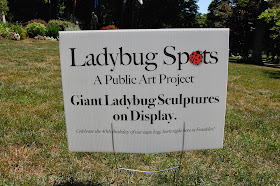Ladybug spots